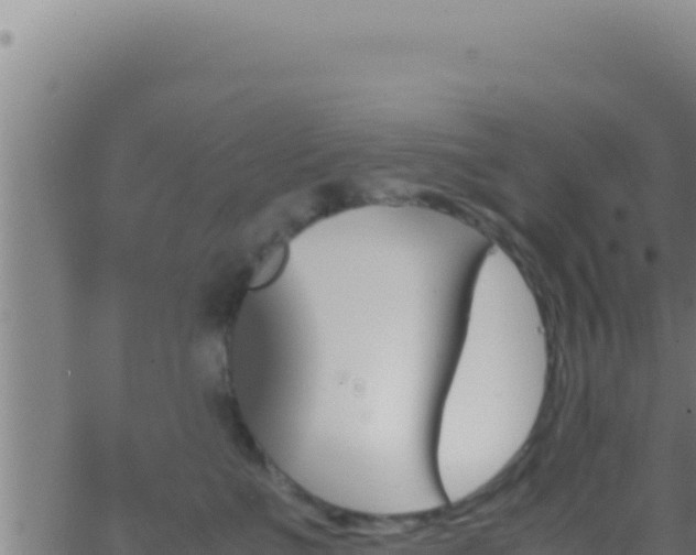 X0000062920523200601202005