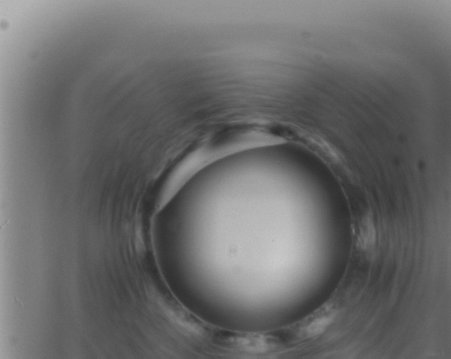 X0000062920524200601202005