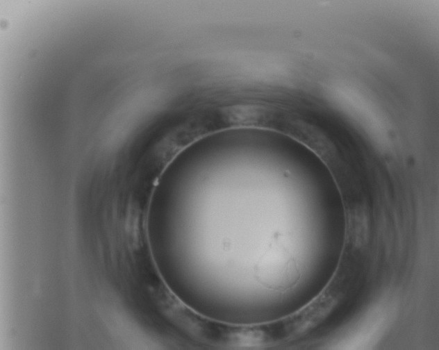 X0000062920525200601202005