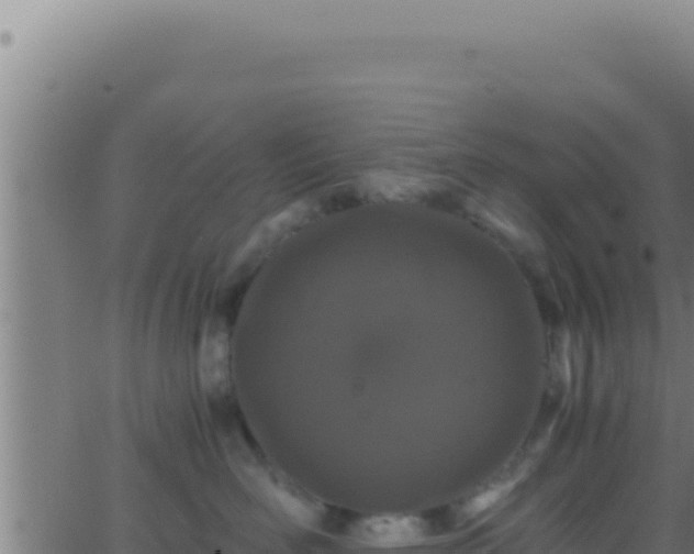 X0000062920526200601202005