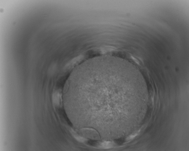 X0000062920527200601202005