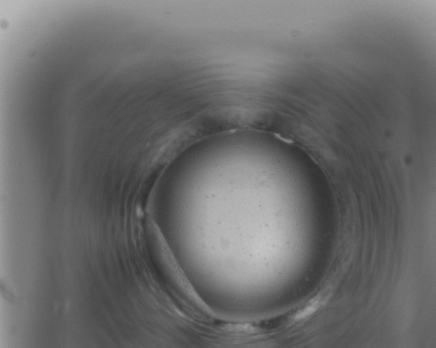 X0000062920528200601202005