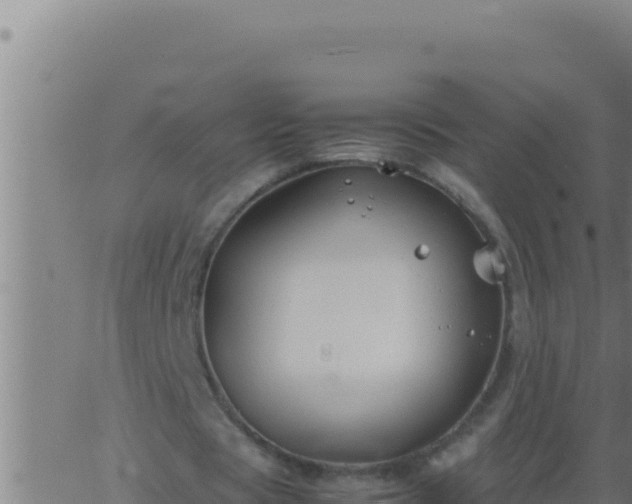 X0000062920529200601202004