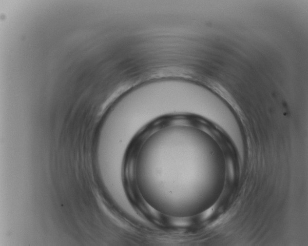 X0000062920530200601202004