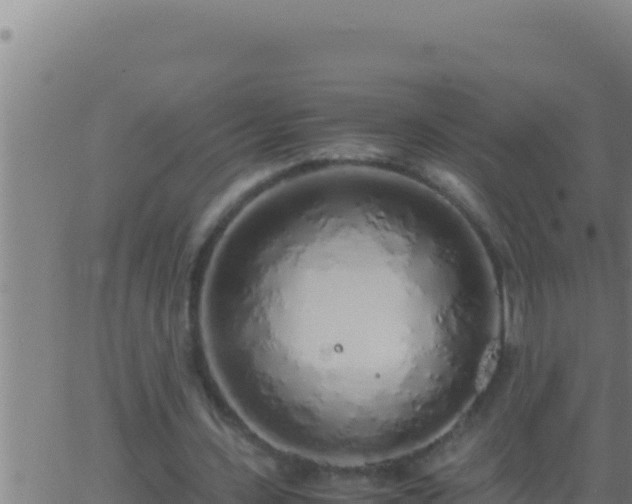 X0000062920531200601202004