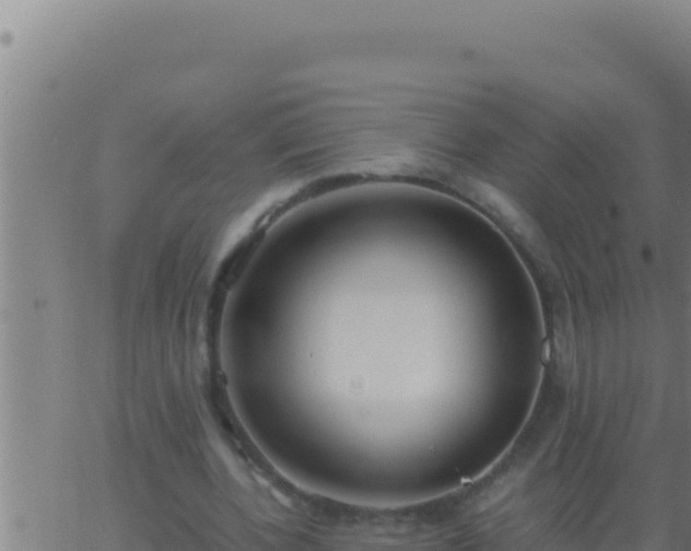 X0000062920532200601202004