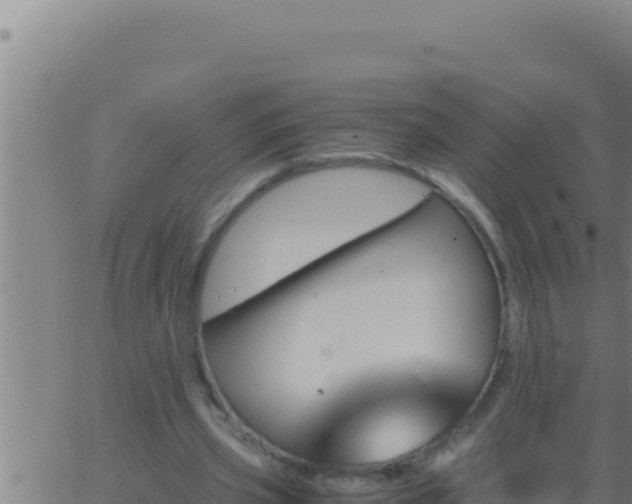 X0000062920533200601202004