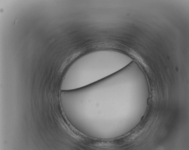 X0000062920537200601202004