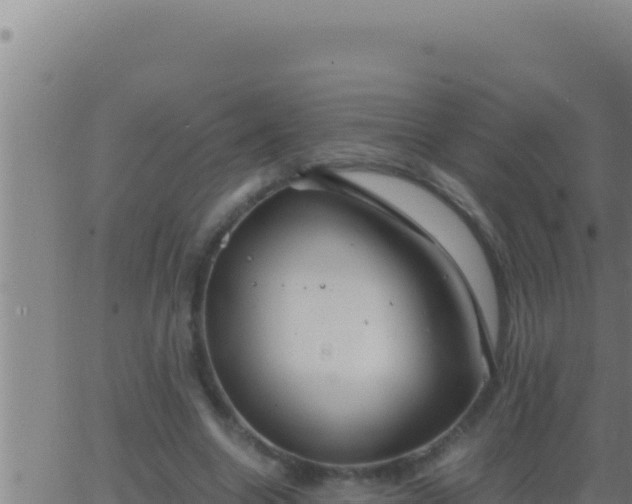 X0000062920538200601202004