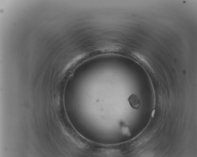 X0000062920539200601202004