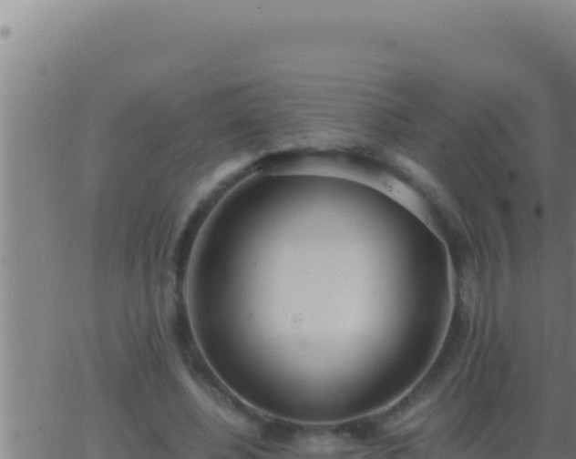 X0000062920540200601202004