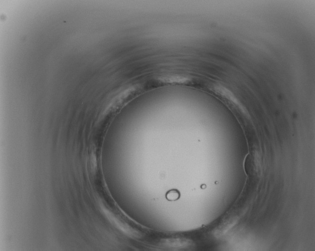 X0000062920541200601202004