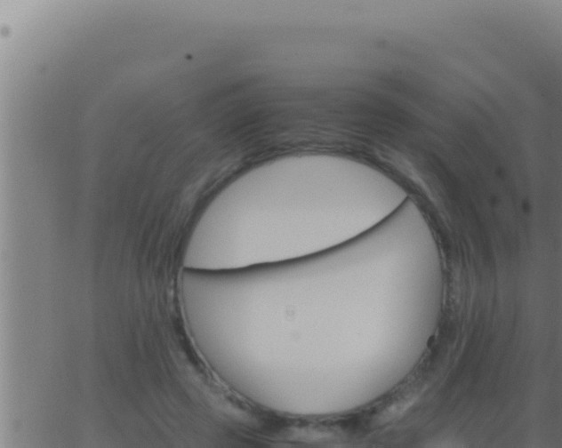 X0000062920545200601202004