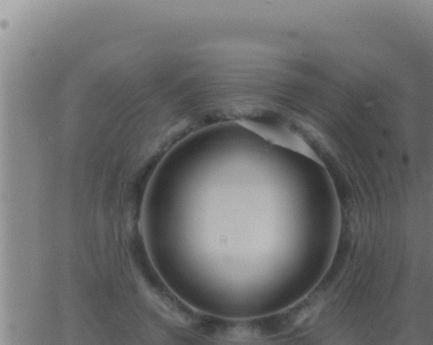 X0000062920546200601202004