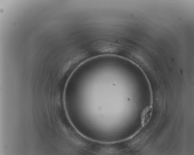 X0000062920547200601202004