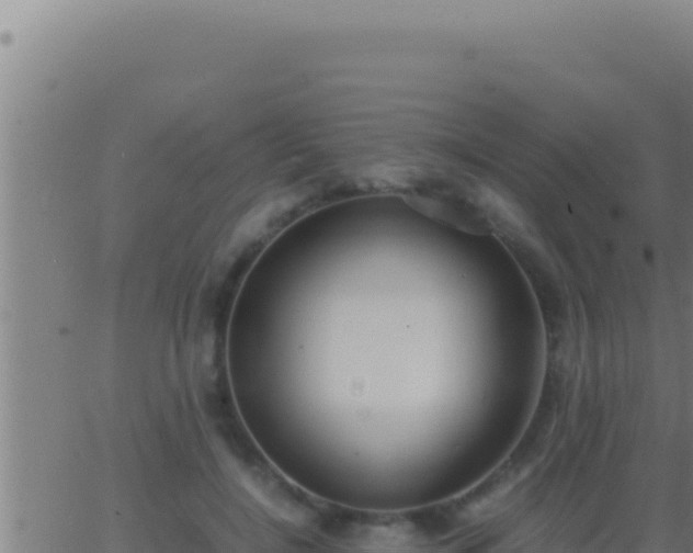 X0000062920548200601202004