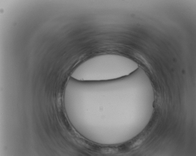 X0000062920549200601202004