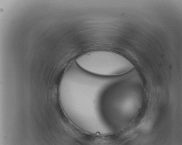 X0000062920550200601202004