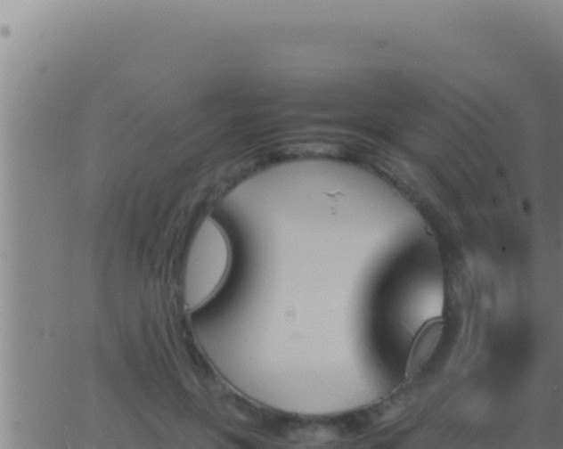 X0000062920551200601202004