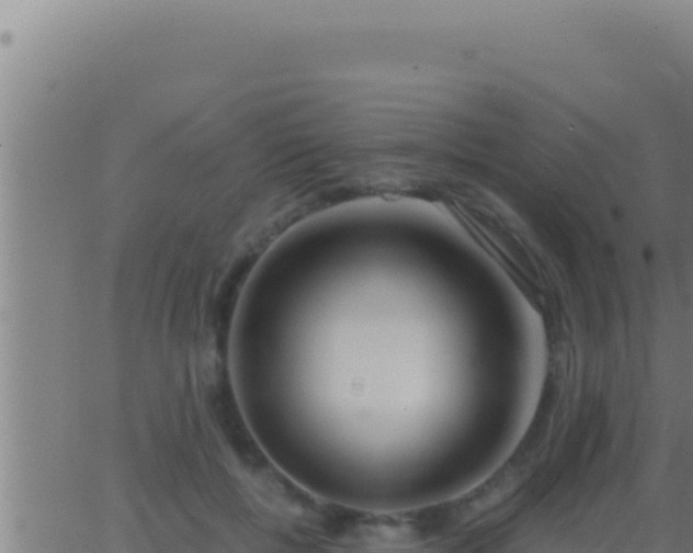 X0000062920552200601202004