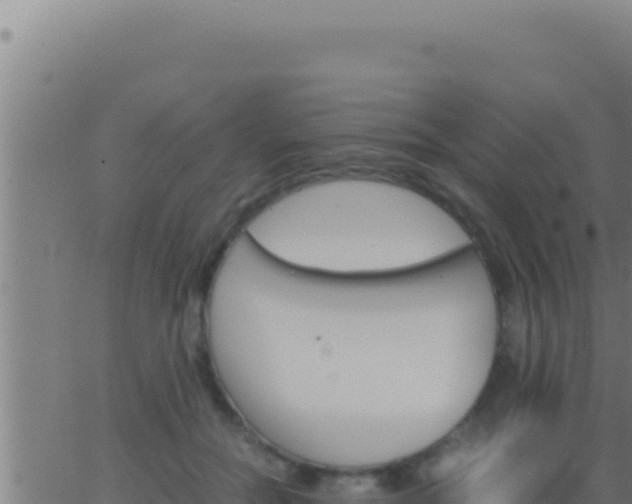 X0000062920554200601202004