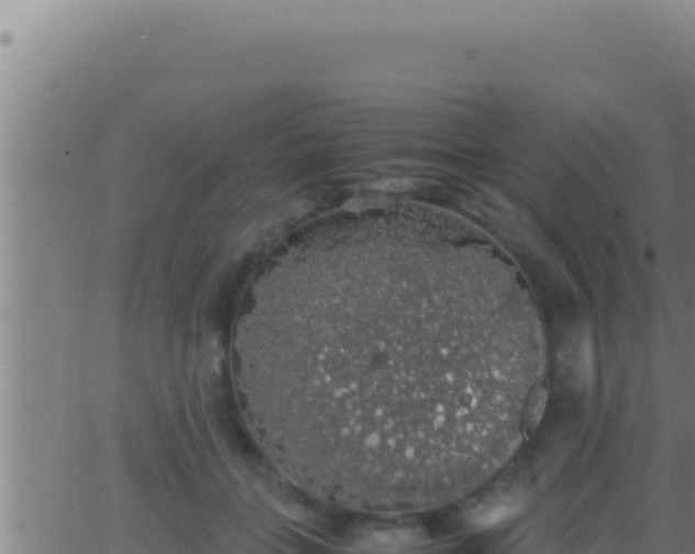 X0000062920555200601202004