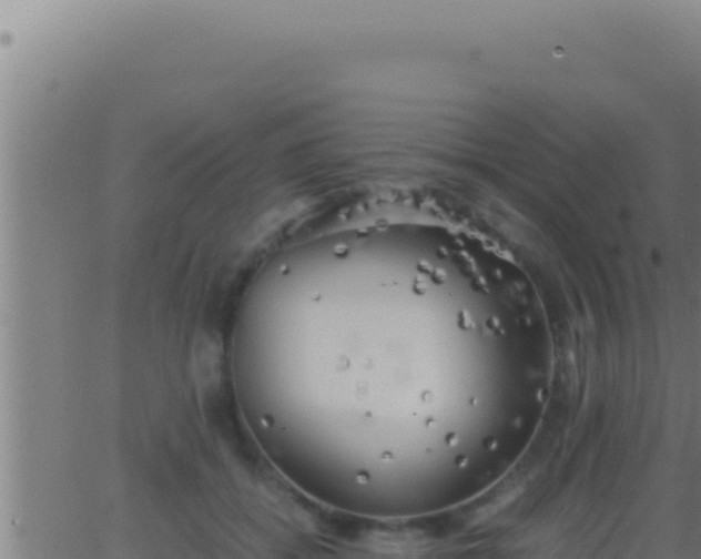 X0000062920556200601202004