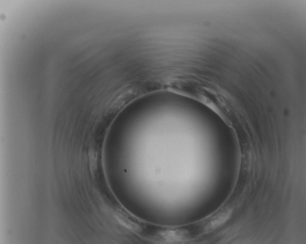 X0000062920558200601202004