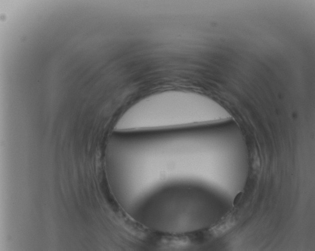 X0000062920559200601202004