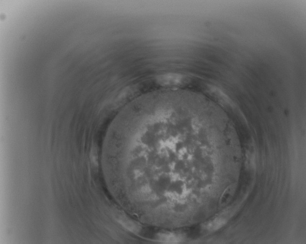 X0000062920561200601202004