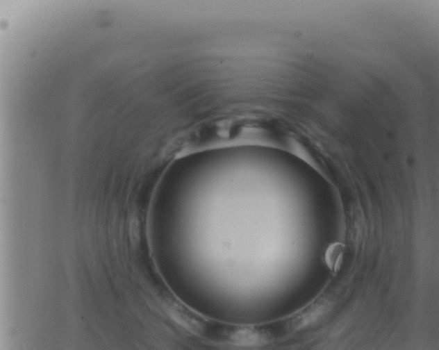 X0000062920562200601202004