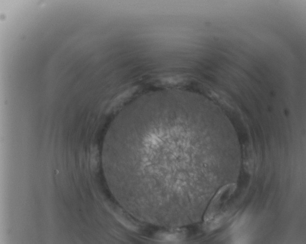 X0000062920563200601202004