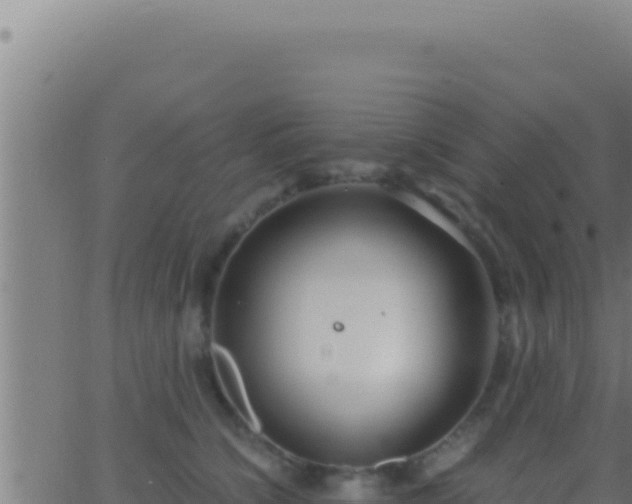 X0000062920564200601202004