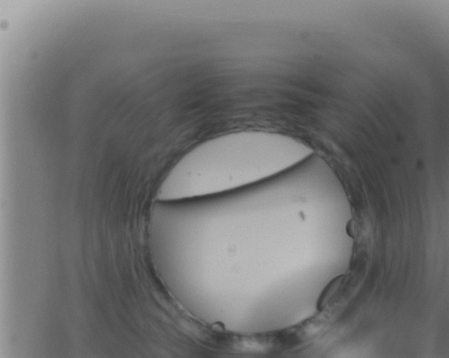 X0000062920565200601202004