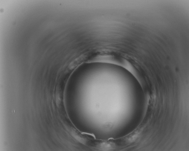 X0000062920566200601202004