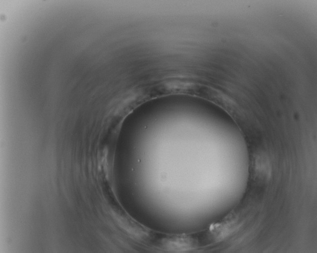 X0000062920567200601202004