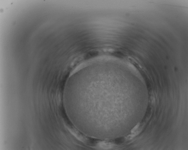 X0000062920568200601202004