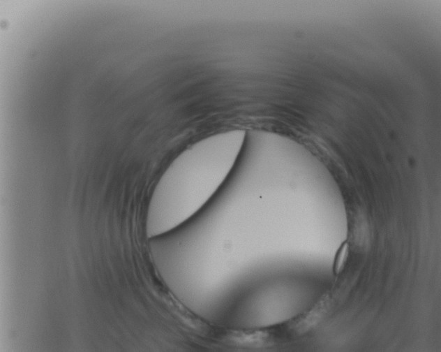 X0000062920569200601202004