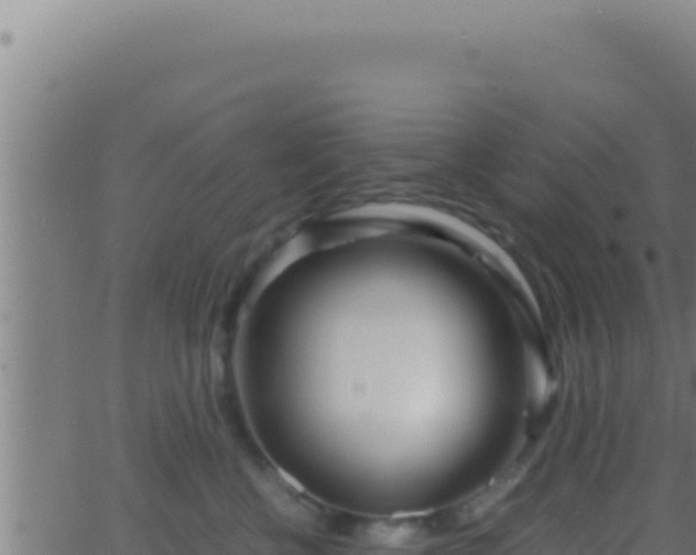 X0000062920570200601202004