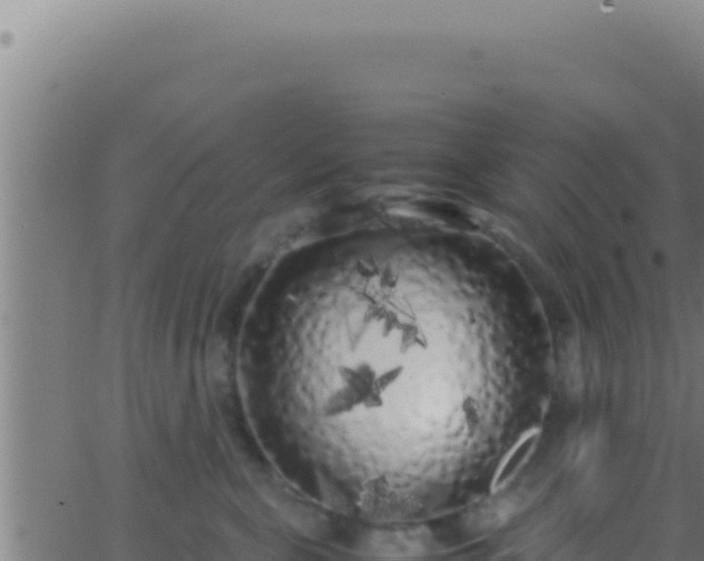 X0000062920571200601202004