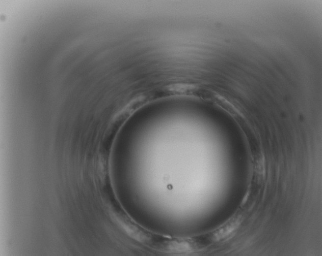 X0000062920572200601202004