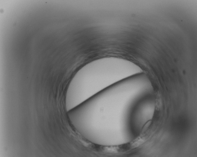 X0000062920573200601202004