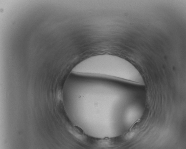 X0000062920574200601202004