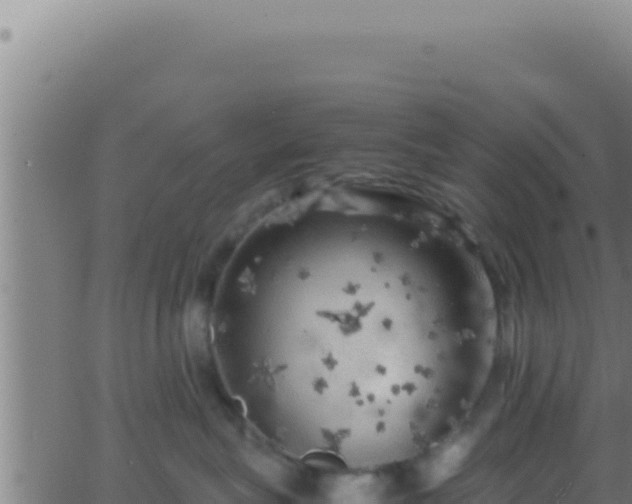 X0000062920575200601202005