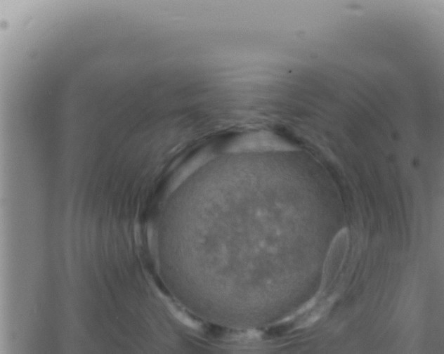 X0000062920576200601202005