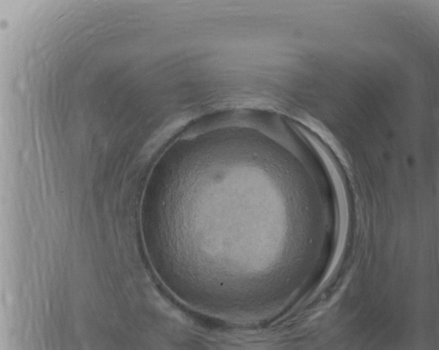 X0000062920577200601202004