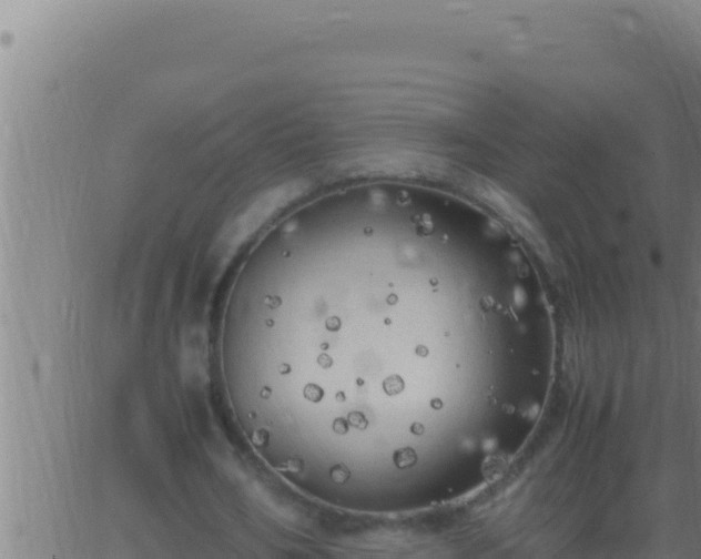 X0000062920578200601202004