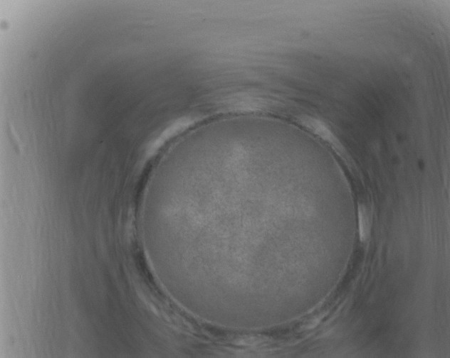 X0000062920579200601202004