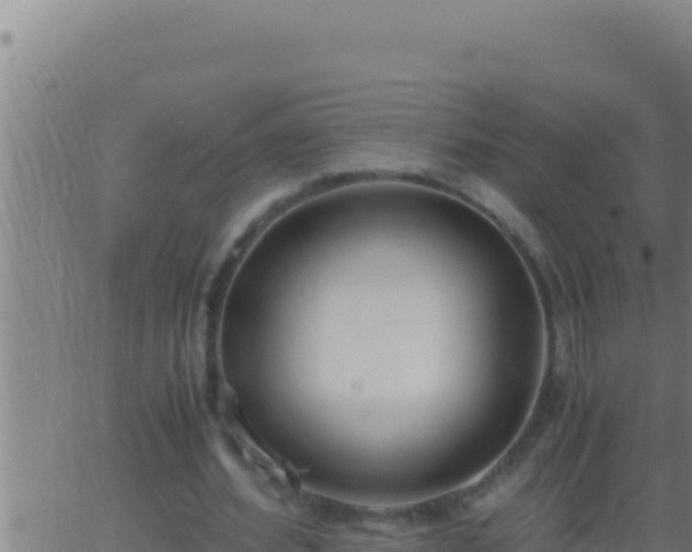 X0000062920580200601202004