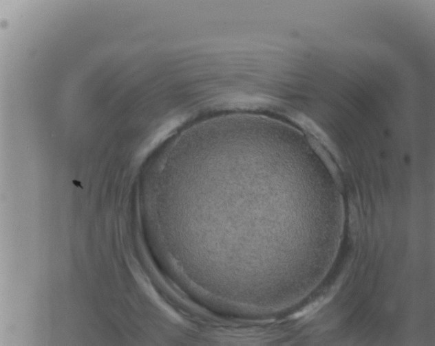 X0000062920581200601202004